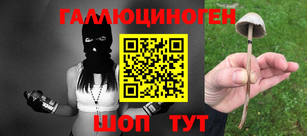 Псилоцибиновые грибы Cubensis  Галлюциногенные грибы Magic Shrooms  Котовск  Вход с VPN 